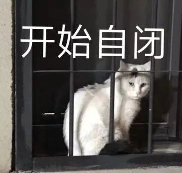 自闭.jpg