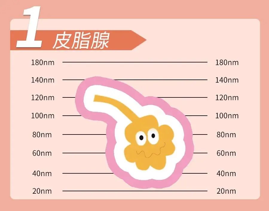 微信图片_20210330112900.jpg
