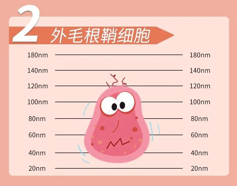 微信图片_20210330113018.jpg