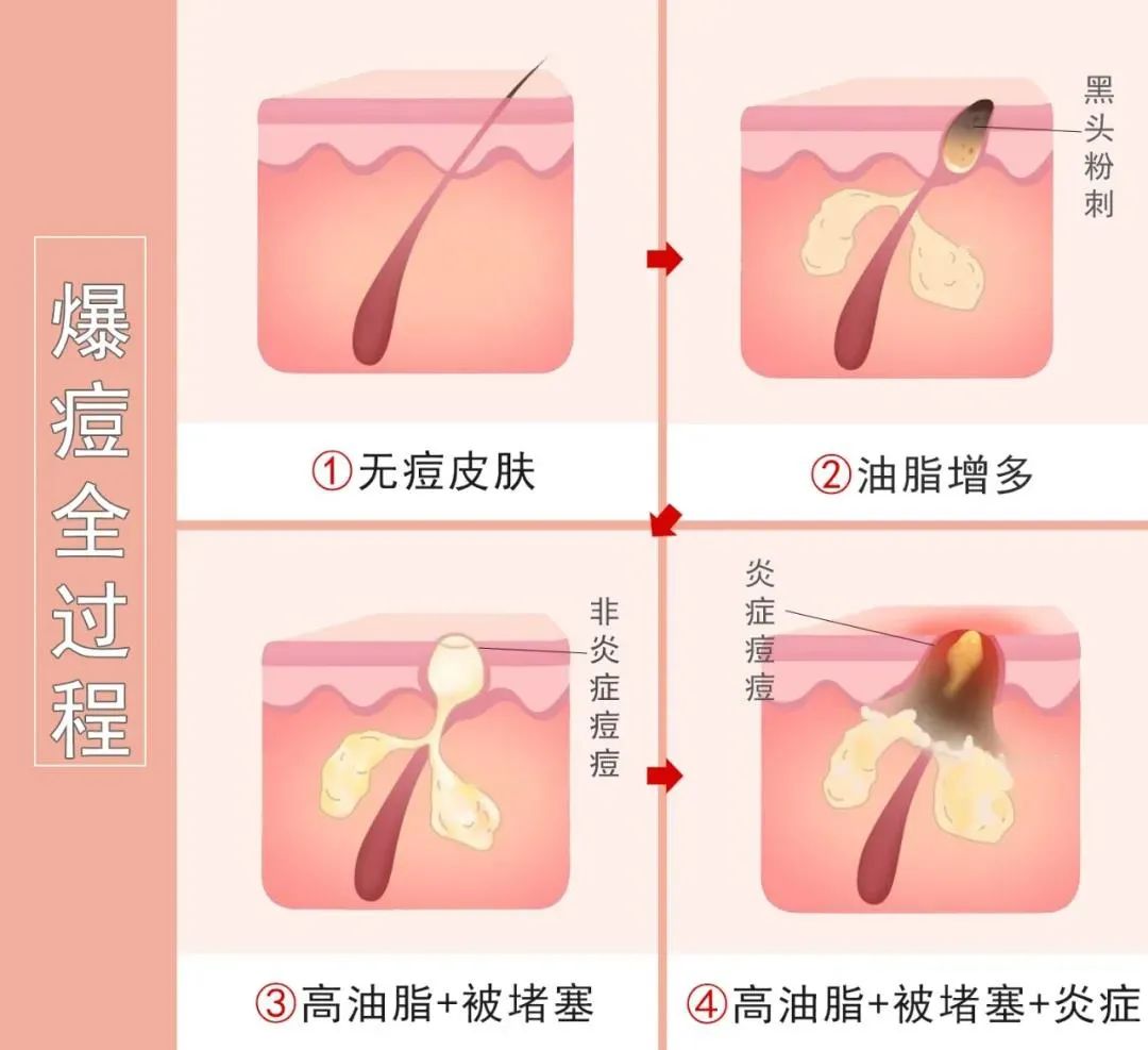 微信图片_20210330113058.jpg